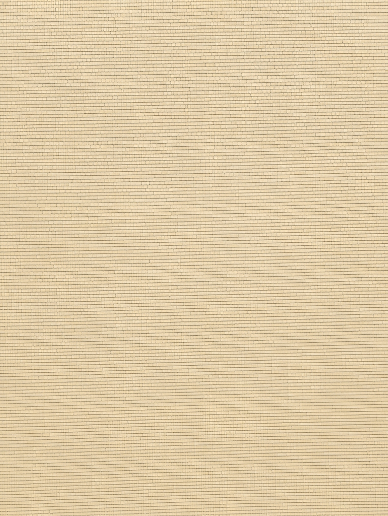 Cinnamon Daylight Roller Blind