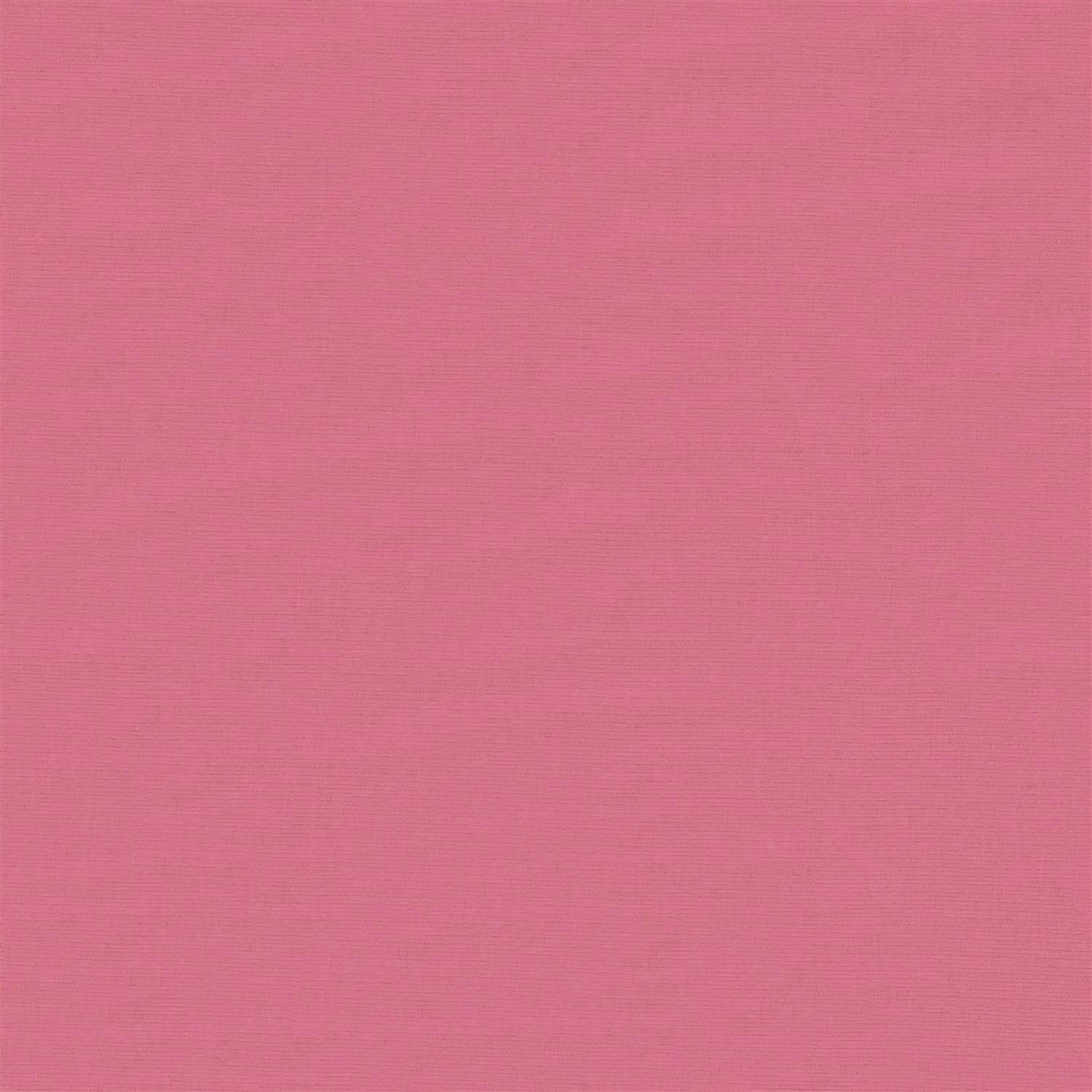 Ballgown Pink Blackout Electric Roller Blind