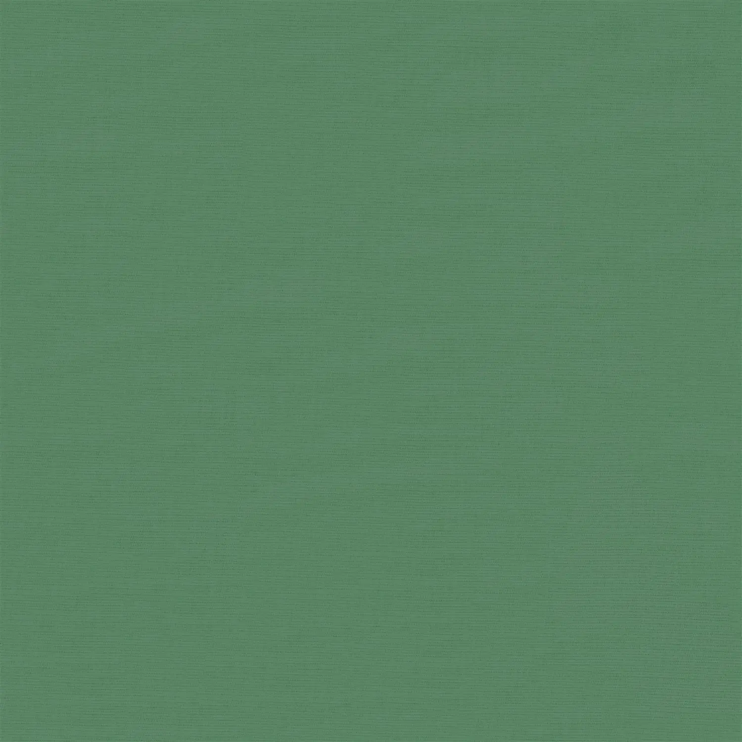 Cucumber Green Blackout Electric Roller Blind