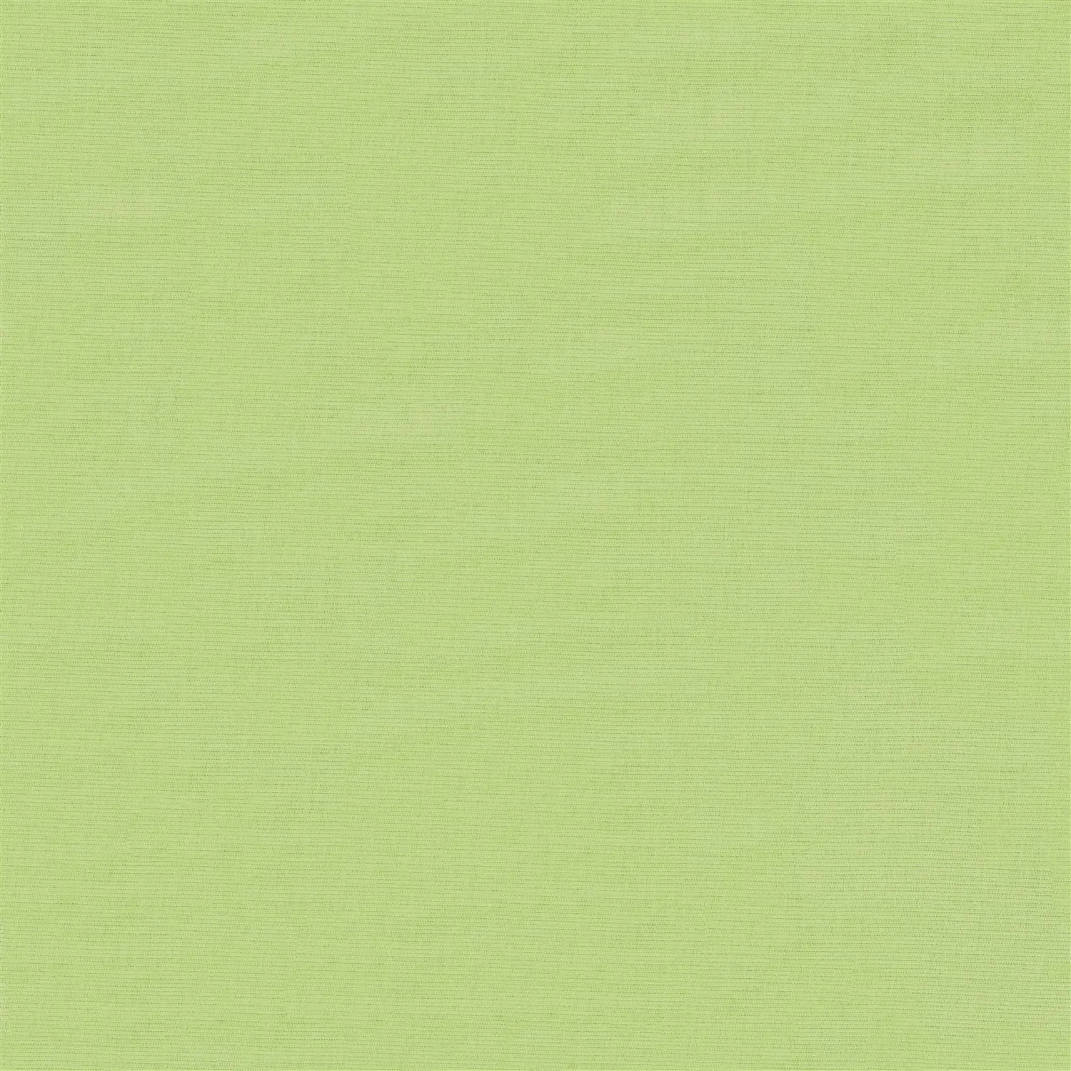 Avocado Green Electric Daylight Roller Blind