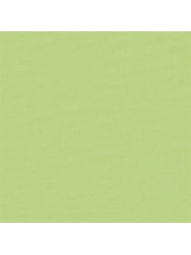 Avocado Green Electric Daylight Roller Blind
