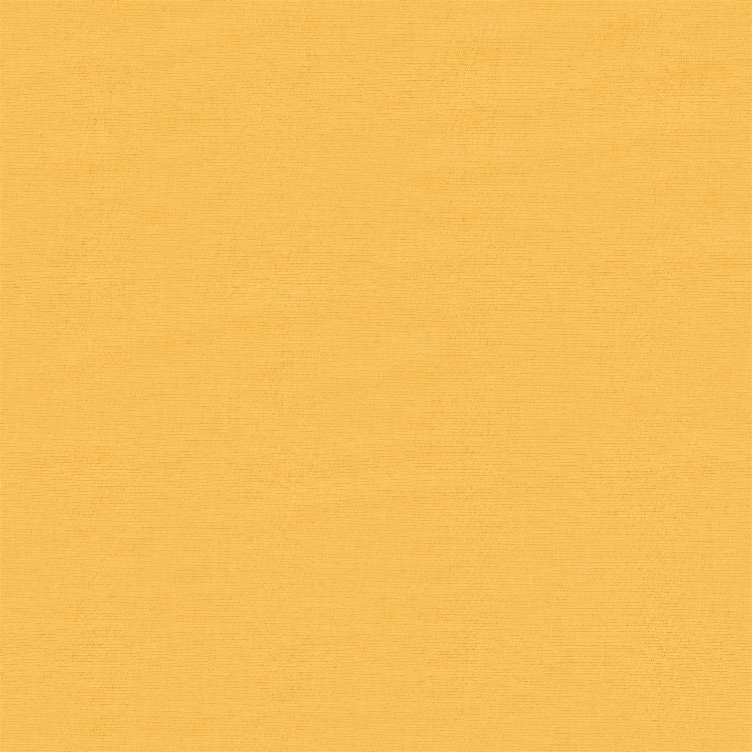 Salamander Yellow Blackout Electric Roller Blind