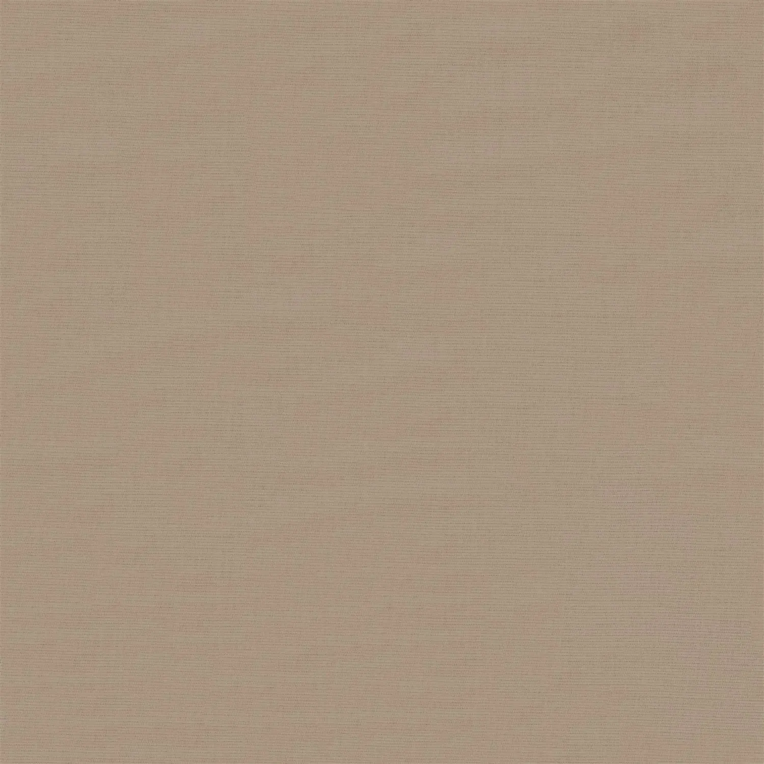 Wet Cement Electric Daylight Roller Blind