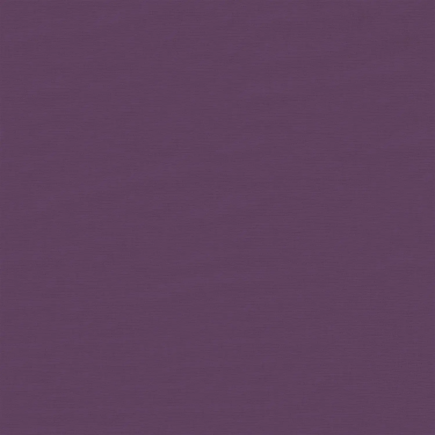 Orchid Purple Electric Daylight Roller Blind