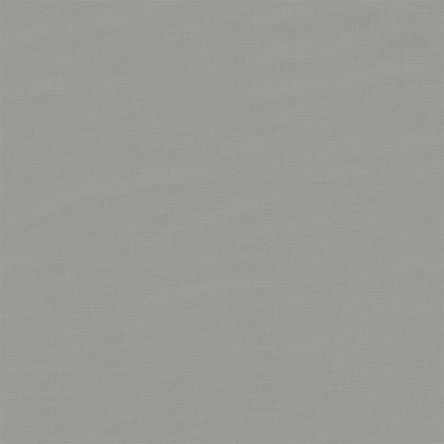 London Fog Grey Electric Daylight Roller Blind