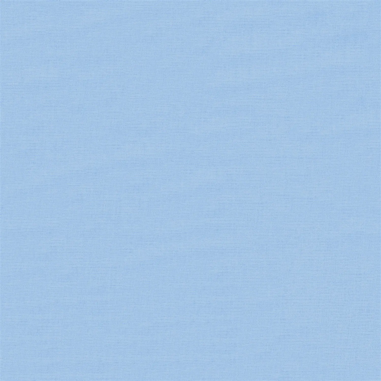 Robin's Egg Blue Electric Daylight Roller Blind