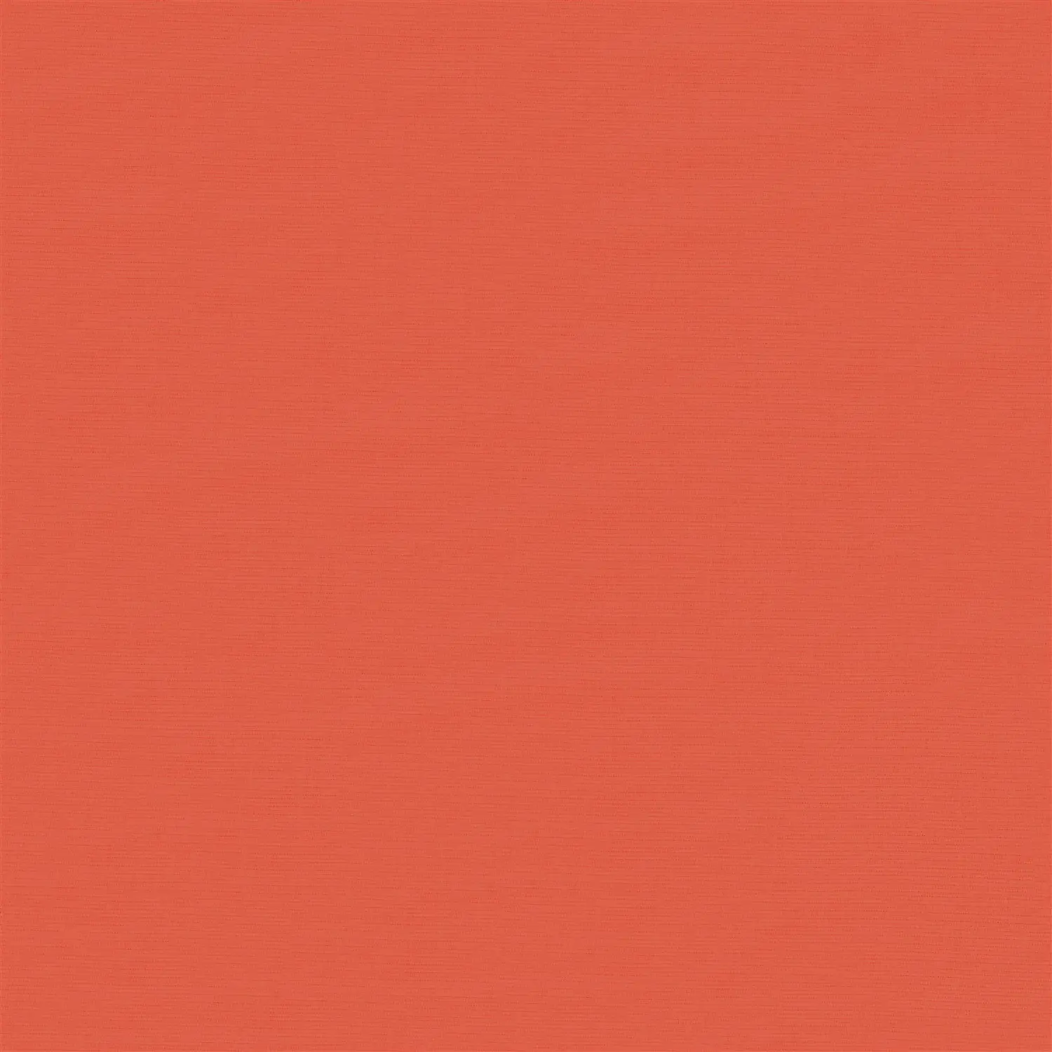 Arancia Orange Blackout Electric Roller Blind