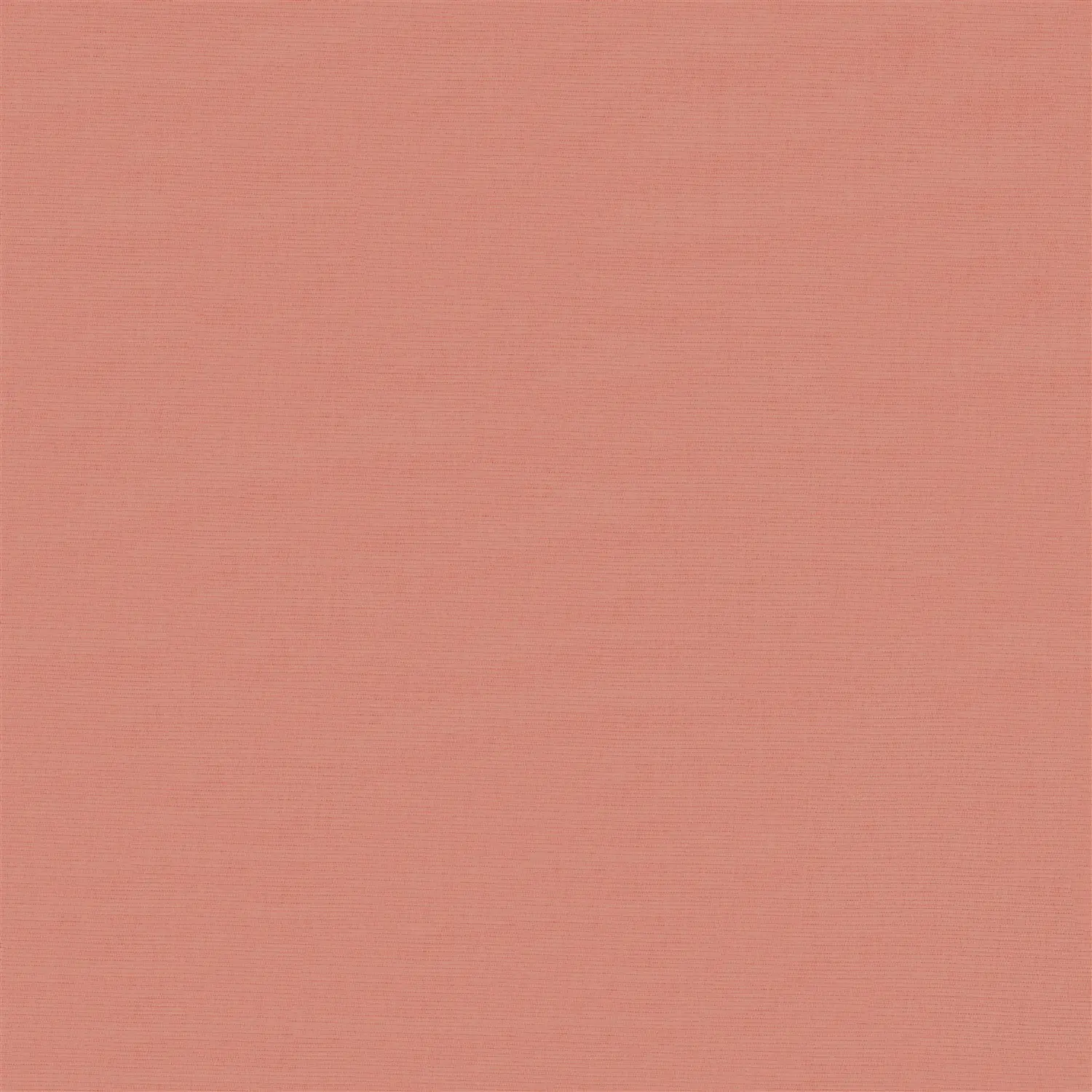 Grilled Peach Blackout Electric Roller Blind
