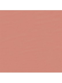 Grilled Peach Electric Daylight Roller Blind