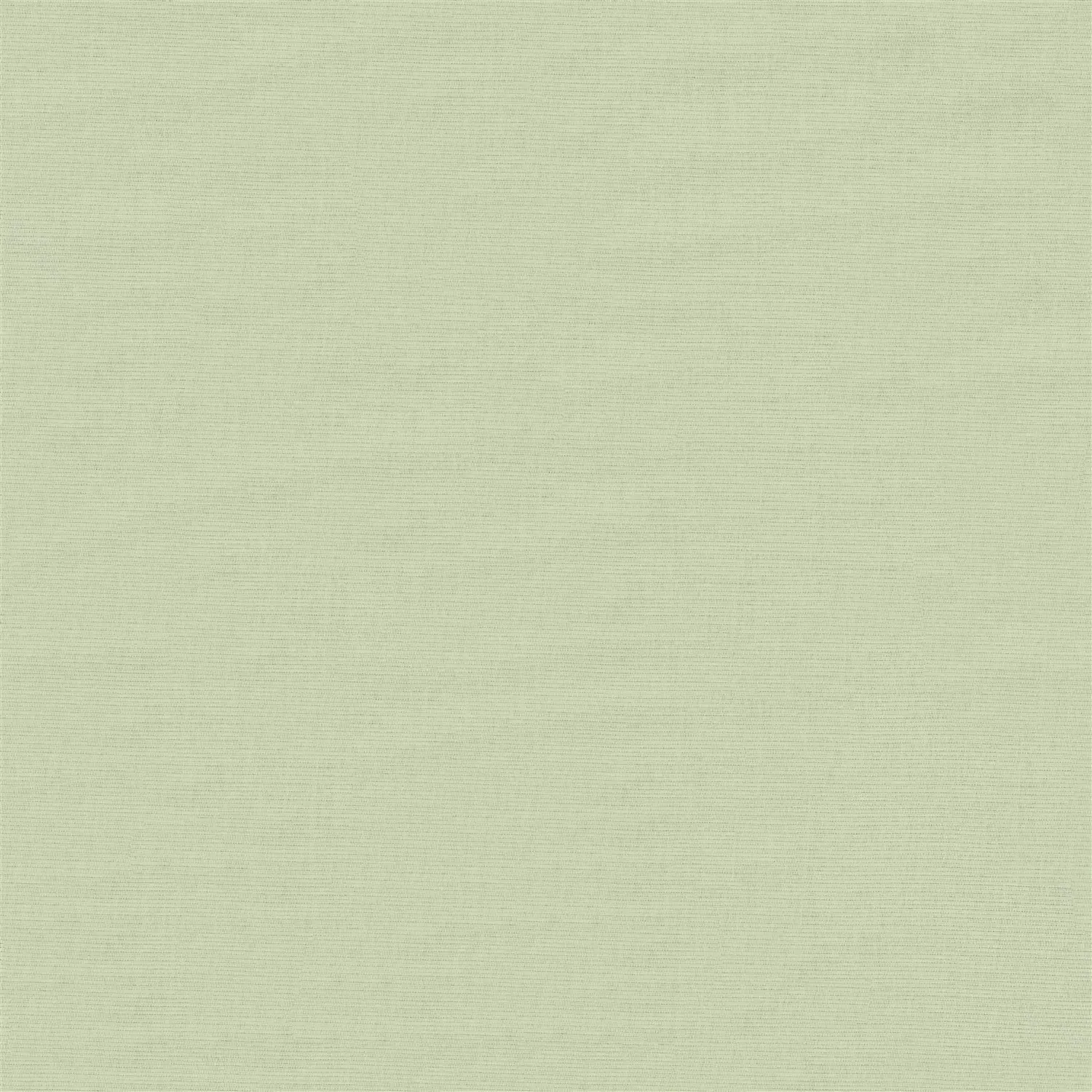 Artichoke Green Blackout Electric Roller Blind