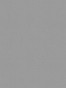 Stately Grey Blackout Thermal Roller Blind