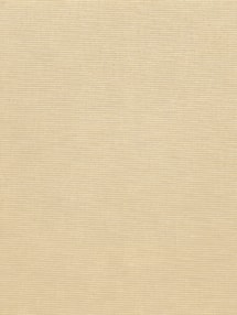 Cinnamon Daylight Roller Blind