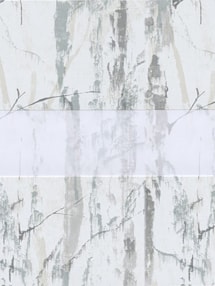 Concept Silver Electric Vision Day and Night Blind