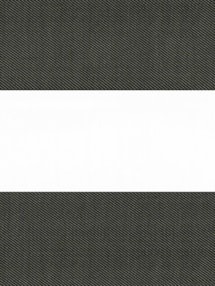 Motif Raven Electric Vision Day and Night Blind