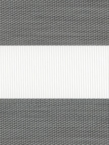 Petra Graphite Electric Vision Day and Night Blind