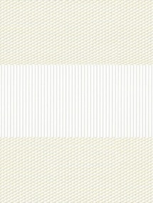Petra Ivory Electric Vision Day and Night Blind