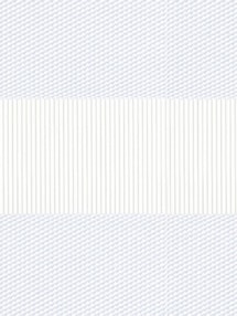 Petra White Electric Vision Day and Night Blind