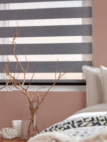 Olympia Ash Electric Vision Day and Night Blind