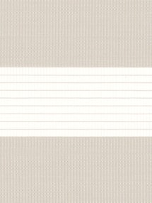 Pale Grey Electric Day And Night Blind