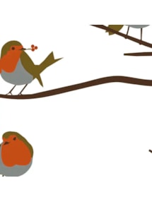 Robin Electric Roller Blind by Lorna Syson