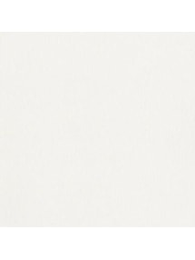 Snowflake White Daylight No Drill Electric Roller Blind