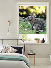Electric Photo Roller Blinds - Upload Your Own Photo