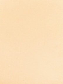 Warm Cream Daylight 89mm Vertical Blind Replacement Slats Warm Cream Daylight 89mm Vertical Blind Replacement Slats