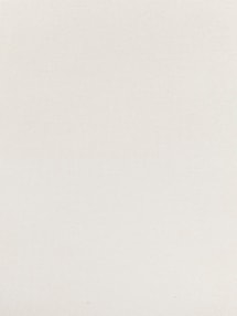 White 89mm Daylight Vertical Blind White 89mm Daylight Vertical Blind