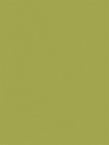 Apple Green Waterproof 89mm Vertical Blind Apple Green Waterproof 89mm Vertical Blind