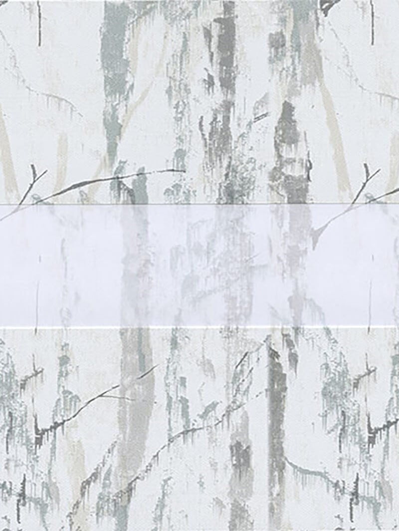 Concept Silver Vision Day and Night Blind