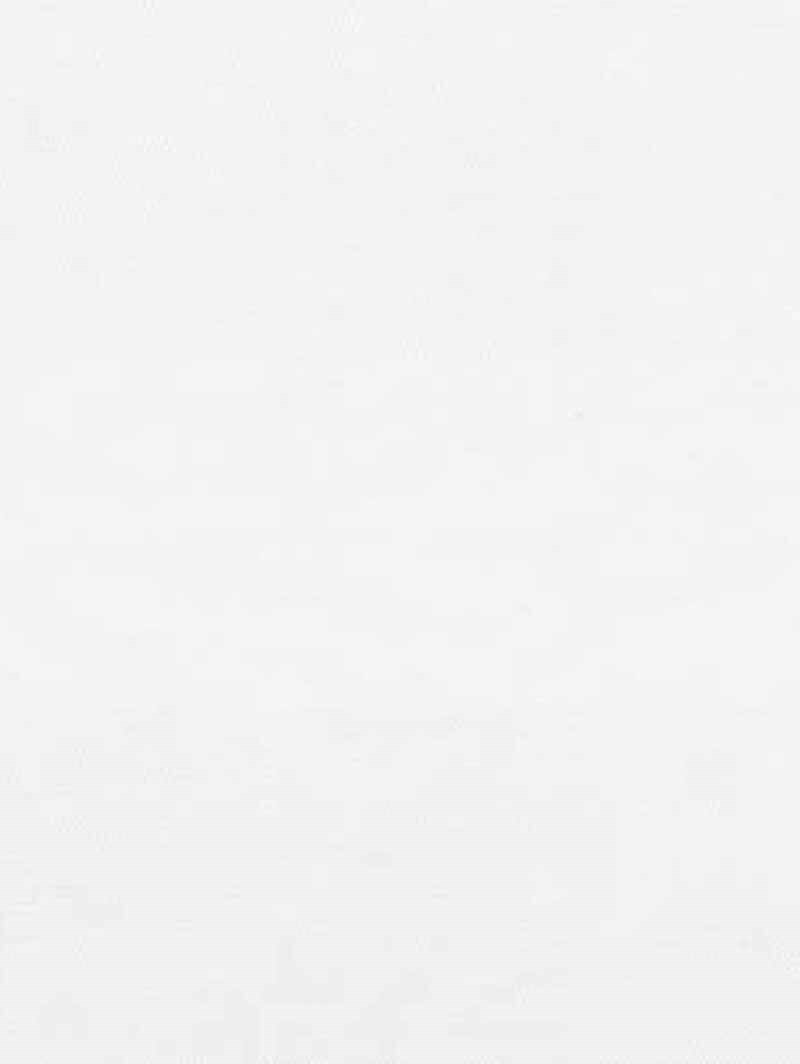 Edition Alabaster Vision Day and Night Blind