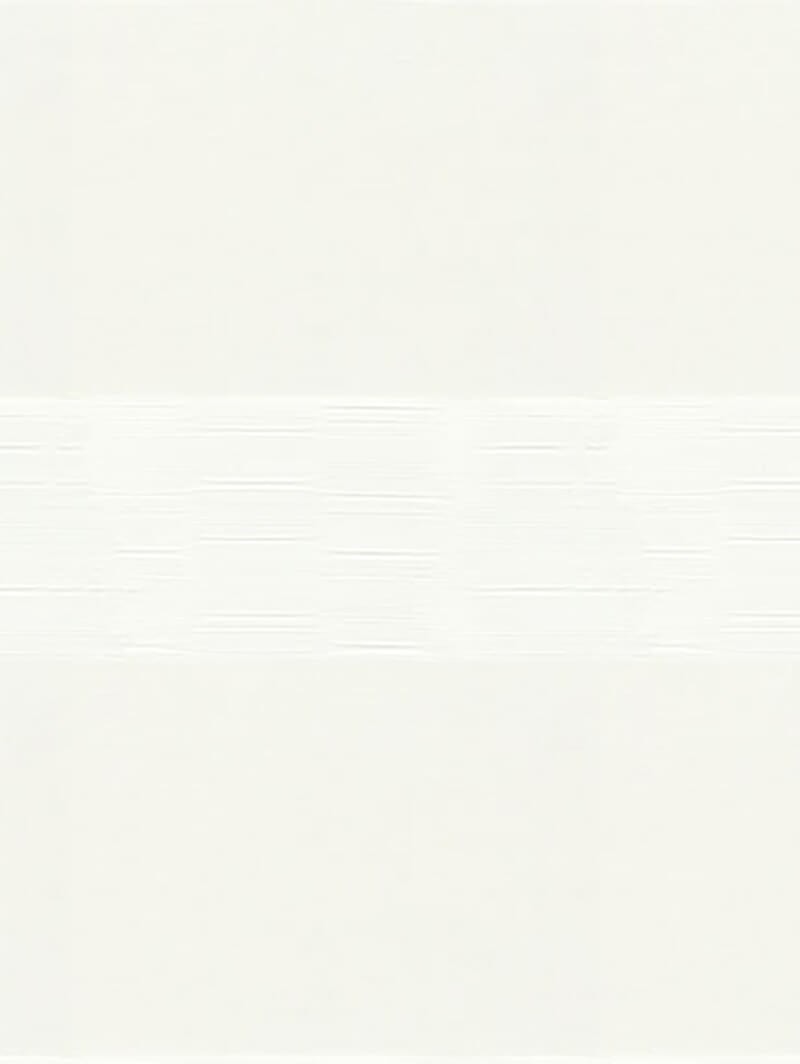 Edition Linen Vision Day and Night Blind