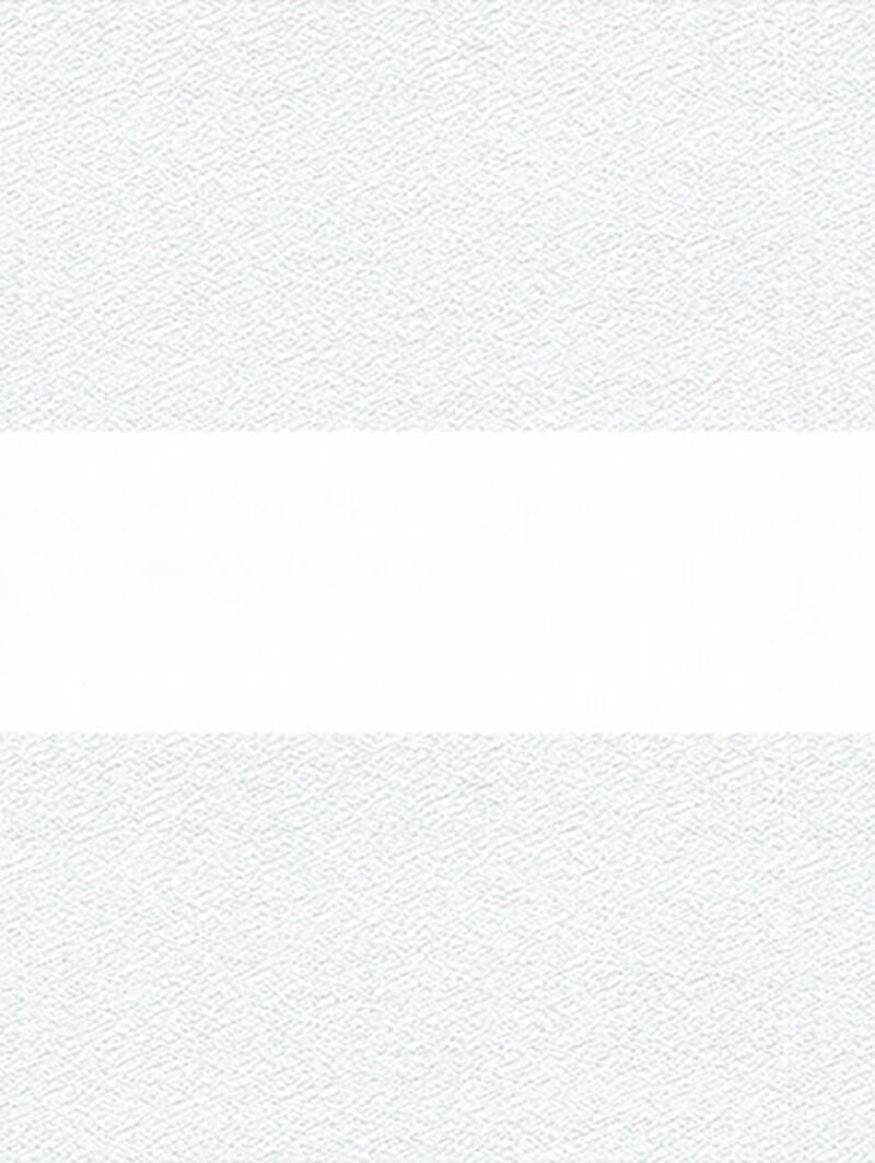 Patina White Vision Day and Night Blind