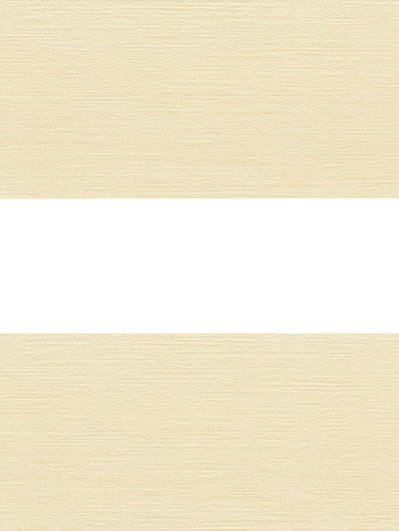 Picturesque Beige Vision Day and Night Blind