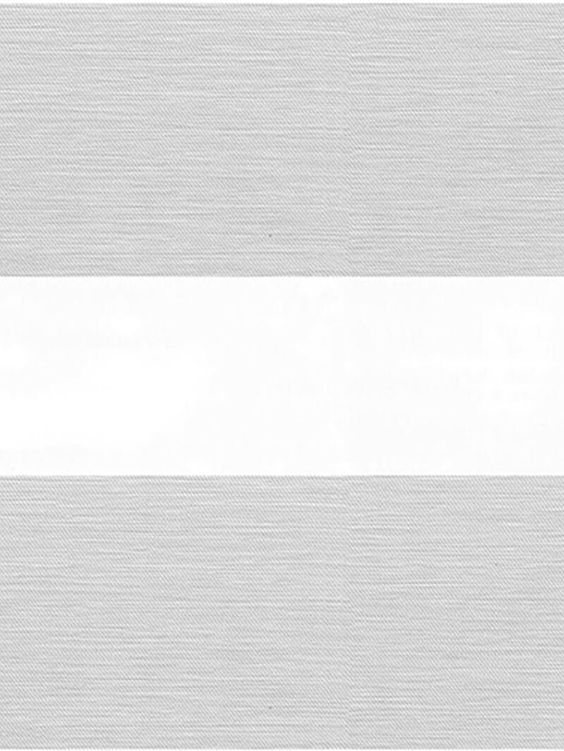 Picturesque Silver Vision Day and Night Blind