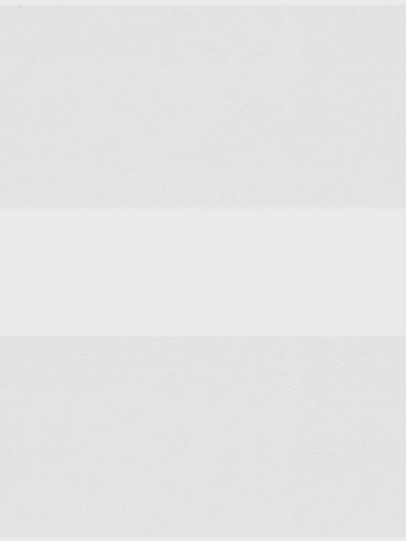 Picturesque White Vision Day and Night Blind