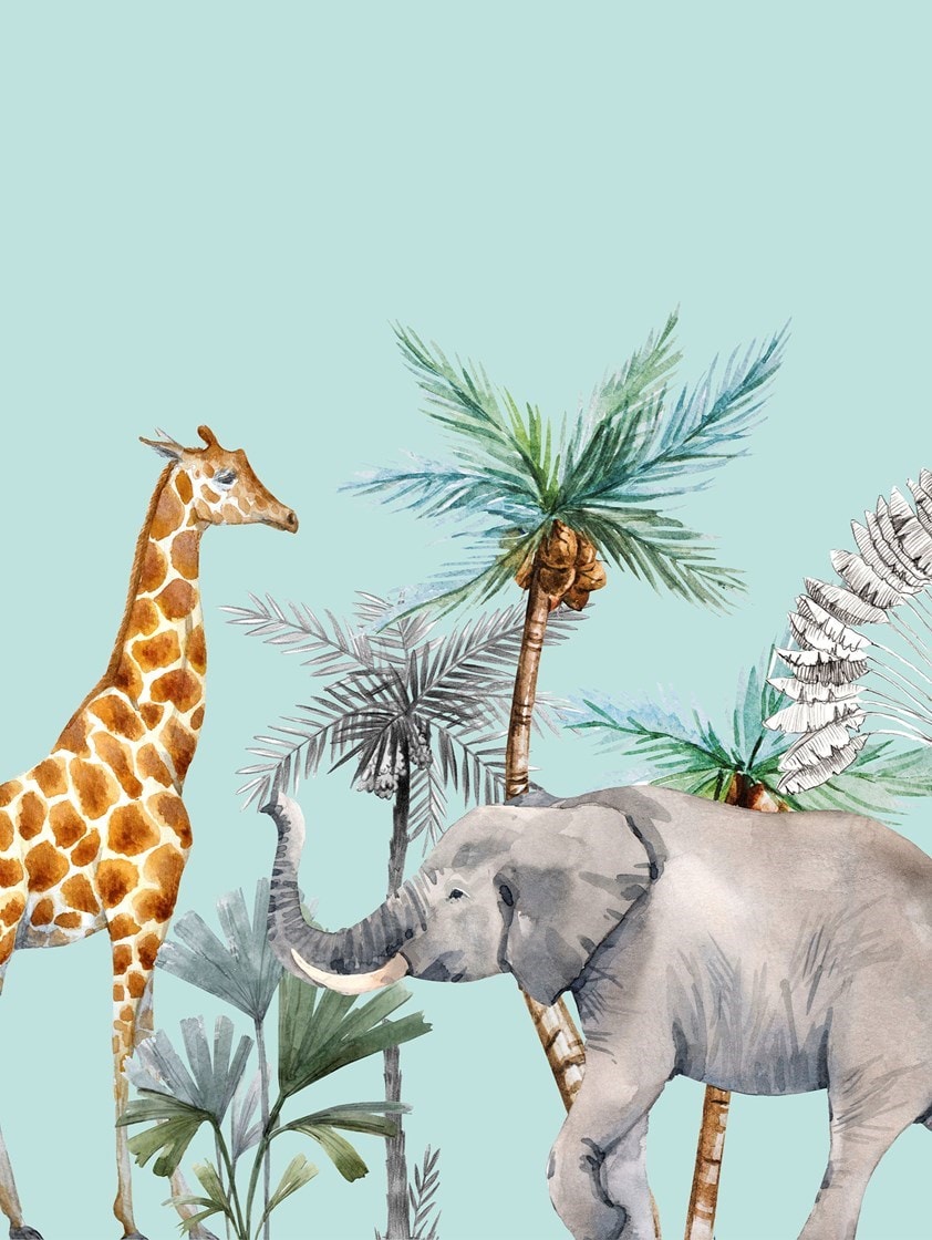 Safari Border Sky Childrens Roller Blind