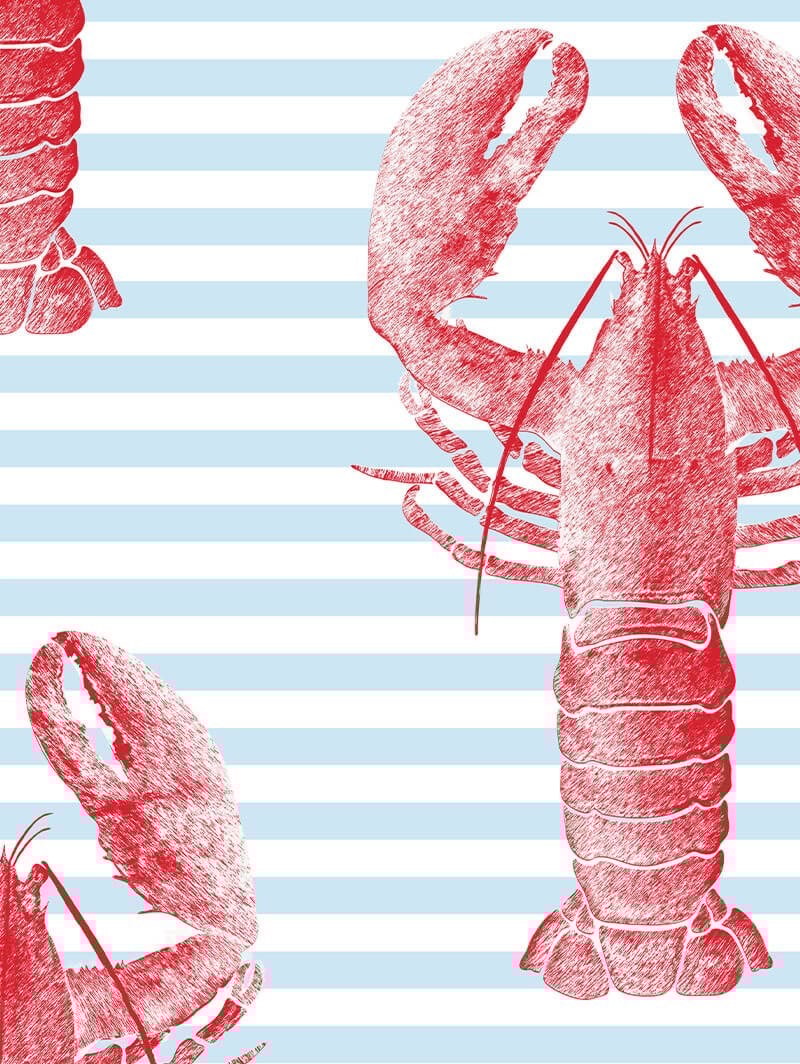 Lobster Red Roller Blind