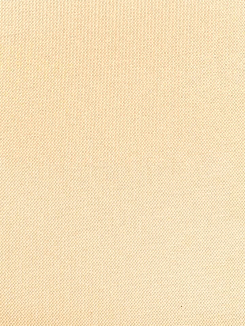 Warm Cream 89mm Daylight Vertical Blind