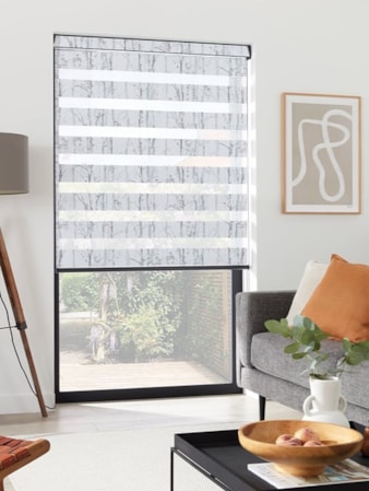 Concept Silver Vision Day and Night Blind