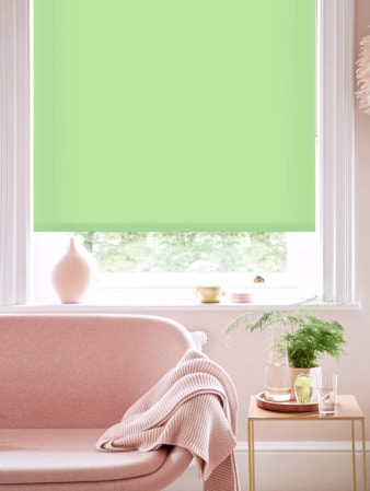 Stem Green Daylight Roller Blind Stem Green Daylight Roller Blind