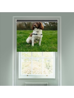 Electric Photo Roller Blinds - Upload Your Own Photo