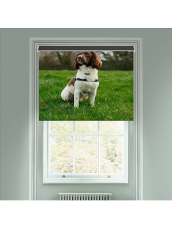 Electric Photo Roller Blinds - Upload Your Own Photo