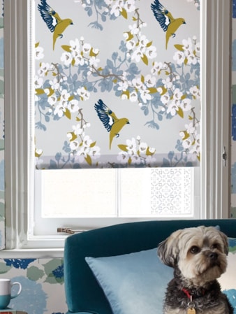 Greenfinch Roller Blind by Lorna Syson Greenfinch Roller Blind by Lorna Syson