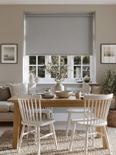 Alpine Grey Daylight Roller Blind