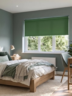 Cucumber Green Daylight Roller Blind