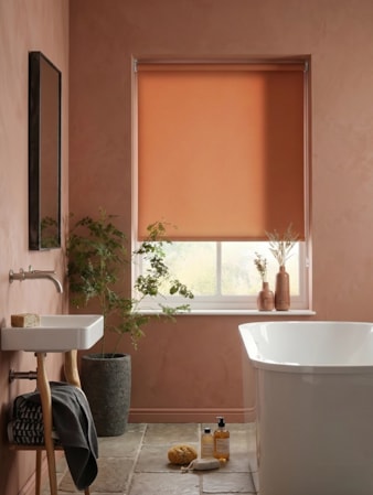 Grilled Peach Daylight Roller Blind
