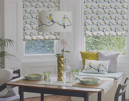 Lorna Syson Roller Blinds
