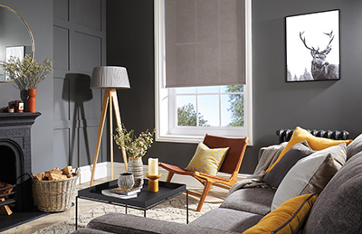 Living Room Sunscreen Blinds