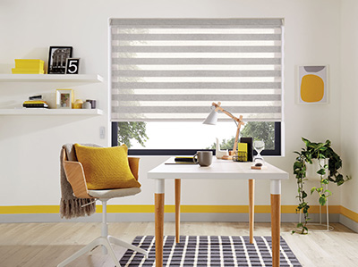 Office Day and Night Blinds